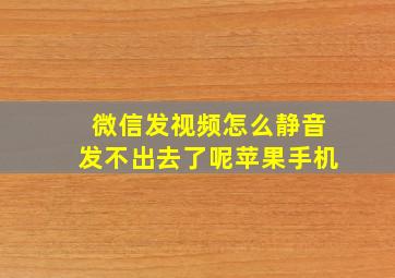 微信发视频怎么静音发不出去了呢苹果手机