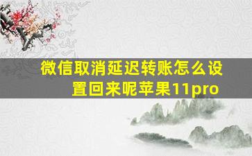 微信取消延迟转账怎么设置回来呢苹果11pro