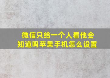 微信只给一个人看他会知道吗苹果手机怎么设置