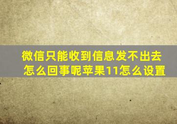 微信只能收到信息发不出去怎么回事呢苹果11怎么设置