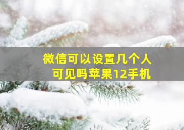 微信可以设置几个人可见吗苹果12手机