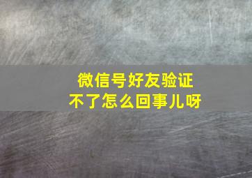 微信号好友验证不了怎么回事儿呀