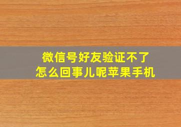 微信号好友验证不了怎么回事儿呢苹果手机