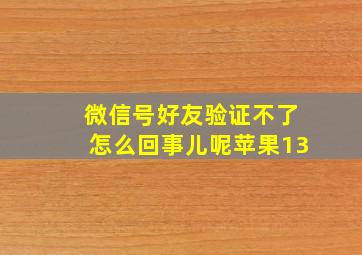 微信号好友验证不了怎么回事儿呢苹果13