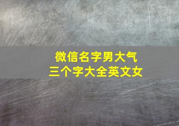 微信名字男大气三个字大全英文女