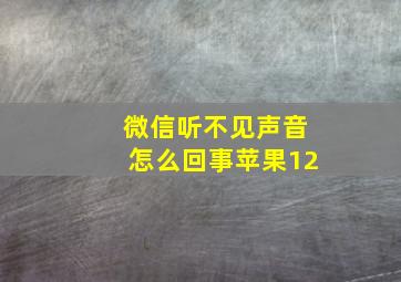 微信听不见声音怎么回事苹果12