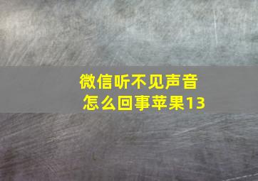 微信听不见声音怎么回事苹果13