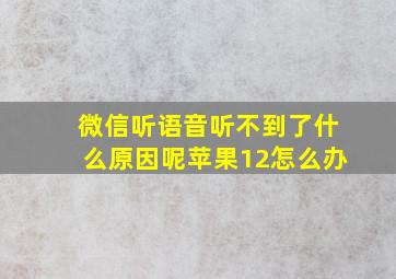 微信听语音听不到了什么原因呢苹果12怎么办