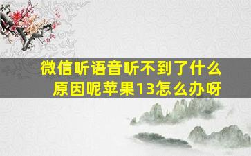 微信听语音听不到了什么原因呢苹果13怎么办呀