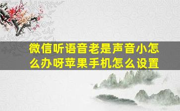 微信听语音老是声音小怎么办呀苹果手机怎么设置