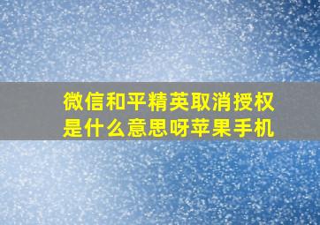 微信和平精英取消授权是什么意思呀苹果手机