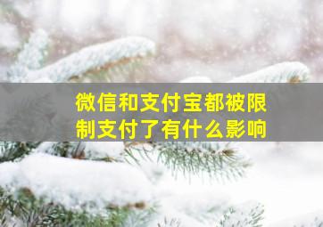 微信和支付宝都被限制支付了有什么影响