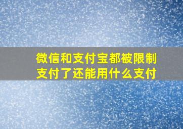 微信和支付宝都被限制支付了还能用什么支付