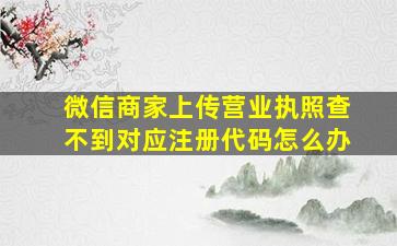 微信商家上传营业执照查不到对应注册代码怎么办