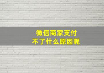 微信商家支付不了什么原因呢