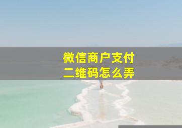 微信商户支付二维码怎么弄