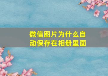 微信图片为什么自动保存在相册里面