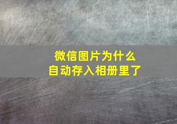 微信图片为什么自动存入相册里了