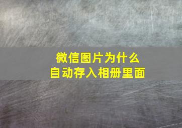 微信图片为什么自动存入相册里面