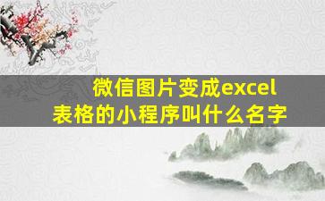 微信图片变成excel表格的小程序叫什么名字