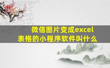 微信图片变成excel表格的小程序软件叫什么