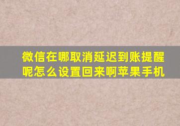 微信在哪取消延迟到账提醒呢怎么设置回来啊苹果手机