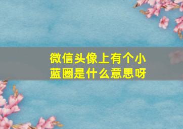 微信头像上有个小蓝圈是什么意思呀