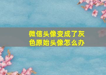 微信头像变成了灰色原始头像怎么办