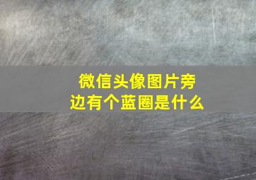 微信头像图片旁边有个蓝圈是什么