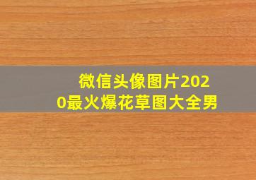 微信头像图片2020最火爆花草图大全男