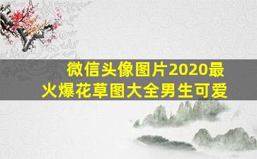 微信头像图片2020最火爆花草图大全男生可爱