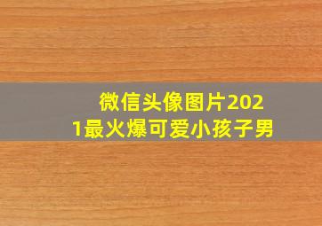 微信头像图片2021最火爆可爱小孩子男