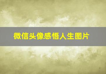 微信头像感悟人生图片