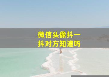 微信头像抖一抖对方知道吗