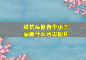 微信头像有个小圆圈是什么意思图片