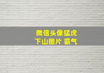 微信头像猛虎下山图片 霸气