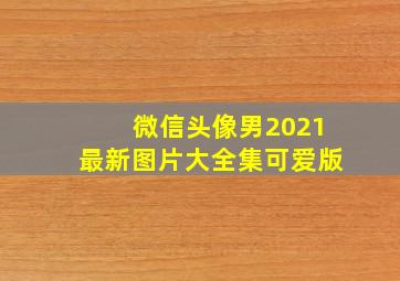 微信头像男2021最新图片大全集可爱版