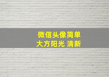 微信头像简单大方阳光 清新