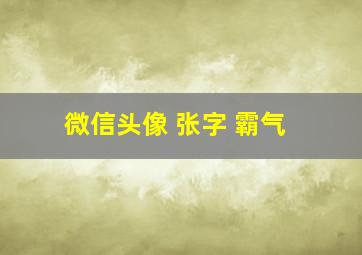 微信头像 张字 霸气