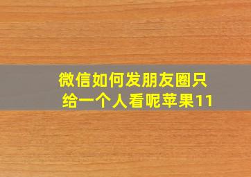 微信如何发朋友圈只给一个人看呢苹果11