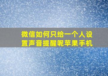 微信如何只给一个人设置声音提醒呢苹果手机