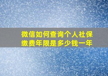 微信如何查询个人社保缴费年限是多少钱一年