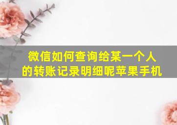 微信如何查询给某一个人的转账记录明细呢苹果手机