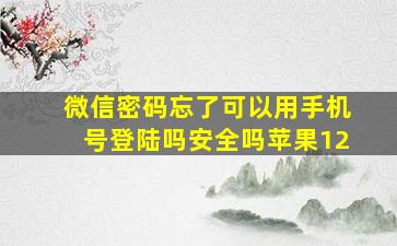 微信密码忘了可以用手机号登陆吗安全吗苹果12