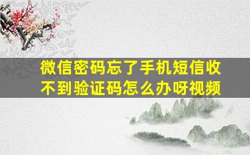 微信密码忘了手机短信收不到验证码怎么办呀视频