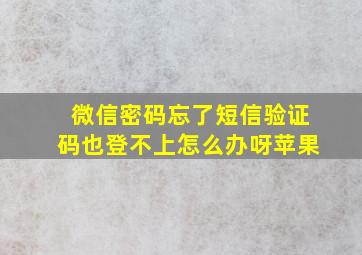 微信密码忘了短信验证码也登不上怎么办呀苹果