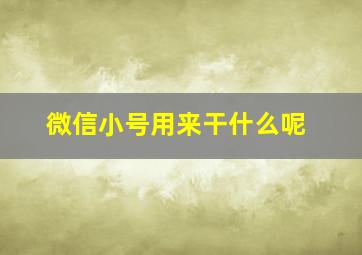 微信小号用来干什么呢