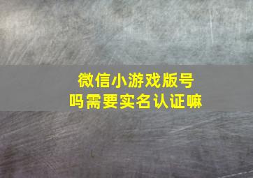 微信小游戏版号吗需要实名认证嘛