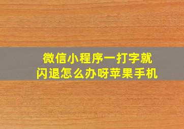 微信小程序一打字就闪退怎么办呀苹果手机