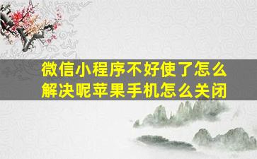 微信小程序不好使了怎么解决呢苹果手机怎么关闭